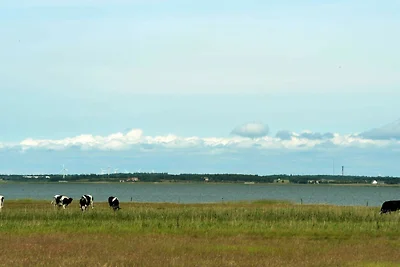 8 Personen Ferienhaus in Blåvand