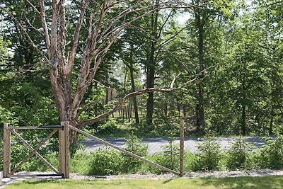 4 Sterne Ferienhaus in Vittsjö