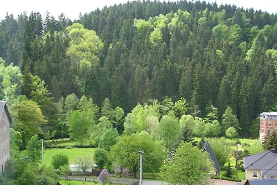Hübsche Wohnung mit Terrasse bei Borstendorf