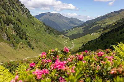 Luxe chalet in het Zillertal met privézwembad