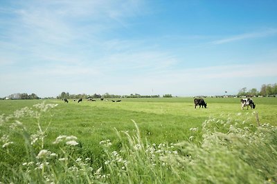 Sfeervolle woning in Easterlittens op een Fri...