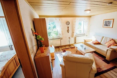 Appartement bij het bos in Plankenstein