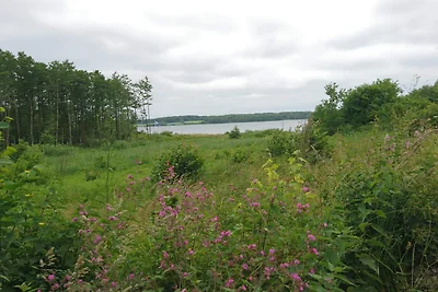 12 Personen Ferienhaus in Aabenraa-By Traum