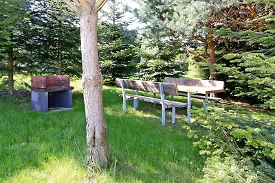 Appartamento Alte Schmiede, Zemitz