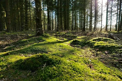 6 Persone case ad Give-By Traum