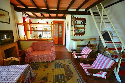 Ferienhaus mit privatem Pool