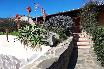 Ferienhaus in Olbia mit Schwimmbecken