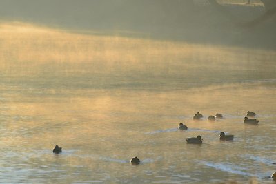 Doppelhaushälfte in Hasselfelde-ehem. TUI