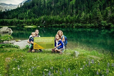 Aparthotel Alpen Chalet