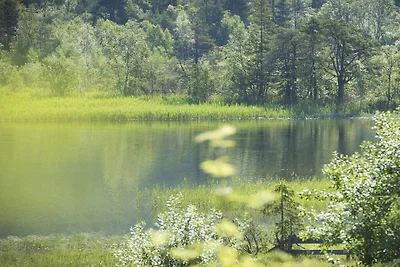 Appartement SEE-STUDIO im Haus Wildsee
