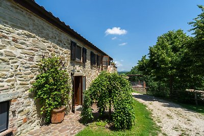 Rustikaler Bauernhof mit Terrasse in Frattici...