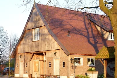 Modernes Ferienhaus in Geesteren mit Terrasse