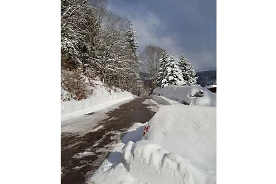 Haus Tannenblick