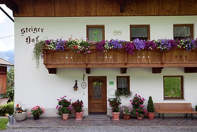 Modernes Appartement in Fügenberg mit Garten
