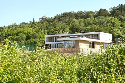 Riesige Partyvilla in der Nähe von Imotski