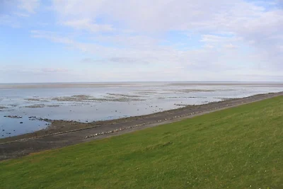 Vakantieappartement in Föhr met 2 slaapkamers