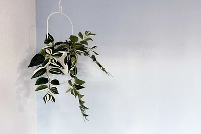 Camera accogliente in un accogliente appartam...