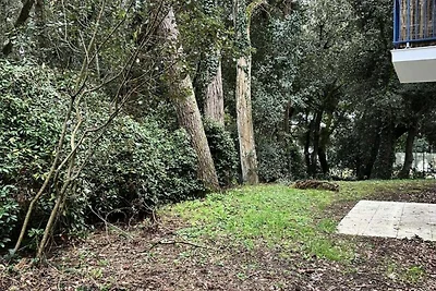 Wohnung in der Nähe des Strandes Sainte...