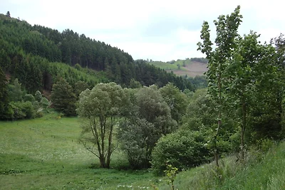 Gemütliches Appartement in Hallenberg mit...