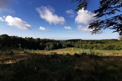 Casa vacanze ben tenuta a Faborg