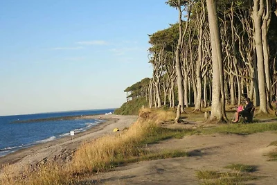 Sedia da spiaggia (casa sulla spiaggia)