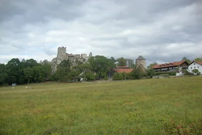 Ferienwohnung in Regen mit Schwimmbecken