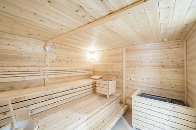 Luxus-Ferienwohnung in Skigebietsnähe in Gosa...