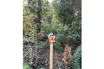 Noah -Seeleben auf Zeit