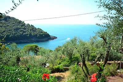 Ferienhaus mit privatem Zugang zum Meer