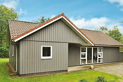 8 persoons vakantie huis in Ansager