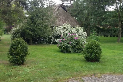 Reetdachhaus Languste, Darß/Ostsee