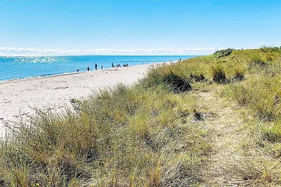 8 Personen Ferienhaus in Gedser-By Traum
