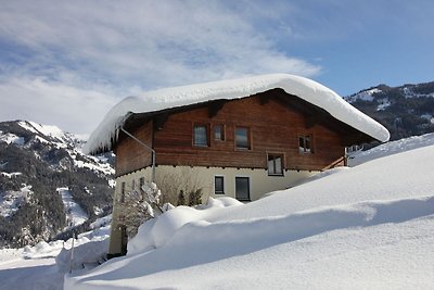 Modernes Chalet mit Sauna beim Skigebiet in...
