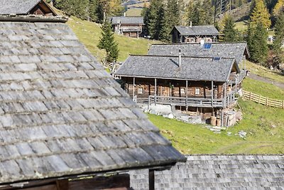 Schönes Chalet in Osttirol mit Bergblick