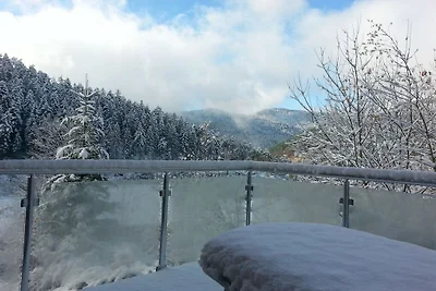 Casa vacanze a Hornberg con piscina