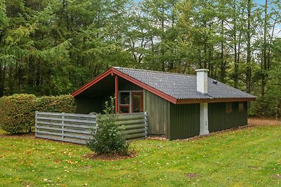 Ruhiges Ferienhaus in Jütland mit Garten