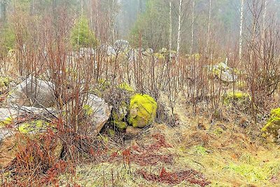 5 Personen Ferienhaus in SEXDREGA