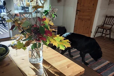 Bed & Breakfast in Bjuråker met zwembad