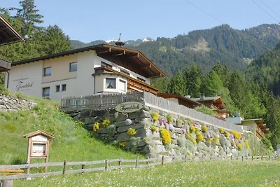 Ziller à la Maison Fernblick