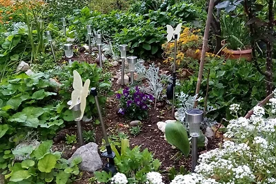 Apartments Vanja Škara Biograd - Studio Apart...