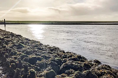 2 Personen Ferienhaus in Højer
