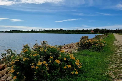 Afgelegen toevluchtsoord bij Lyngbo Heide