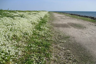 6 Personen Ferienhaus in Dannemare