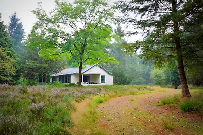 Casa vacanze a Maarheeze con giardino