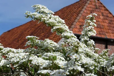 Ferienwohnung mit 2 Schlafzimmer