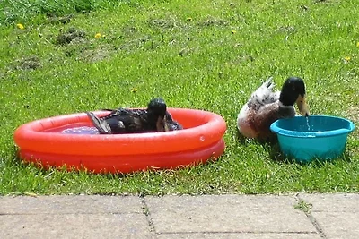 Rutscherhof Residenza di vacanza confortevole