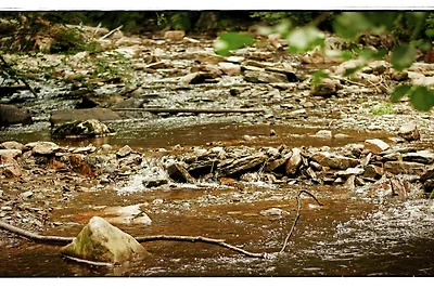 Omgeving (zomer) (1-5 km) Omgeving (zomer) (1-5 km)