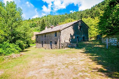 Rustikales Haus in Cortona, Garten