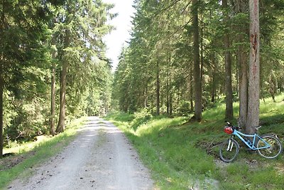 Wohnung in der Nähe des Skigebietes Halblech