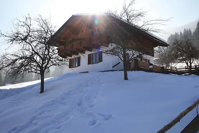 Apartment in Hüttau nahe Skigebiet